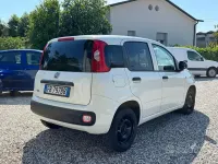 Usata Fiat Panda Pop 80 CV (58 kW) 2015 Bianco Utilitaria