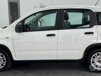 Usata Fiat Panda S 70 CV (51 kW) 2023 Bianco Utilitaria