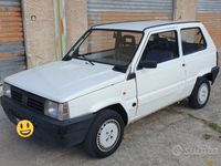 usata Fiat Panda 900 i.e. cat Young