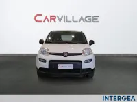Usata Fiat Panda Street 70 CV (51 kW) 2022 Bianco Utilitaria