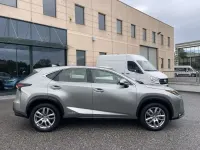 Usata Lexus NX300h Executive Line 155 CV (114 kW) 2016 Grigio SUV