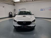 usata Mazda CX-30 2.0L Skyactiv-G 150 CV M Hybrid 2WD Executive