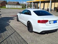 Usata Audi A5 2010 Bianco Coupé