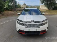 Usata Citroën C5 Aircross Business Class 131 CV (96 kW) 2019 Bianco SUV