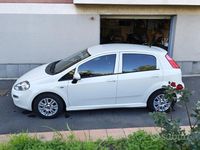 Usata Fiat Punto Lounge 85 CV (62 kW) 2015 Bianco Utilitaria