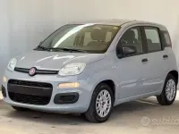 Usata Fiat Panda S 69 CV (50 kW) 2022 Grigio Utilitaria