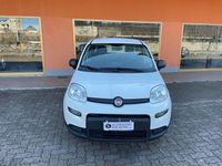 Usata Fiat Panda S 71 CV (52 kW) 2023 Bianco Utilitaria