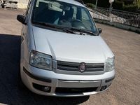 Usata Fiat Panda 77 CV (56 kW) 2008 Grigio Utilitaria
