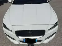 Usata Jaguar XE R-Sport 179 CV (131 kW) 2016 Bianco Berlina