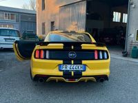 usata Ford Mustang GT Mustang ALLESTIMENTO SHELBY GT500