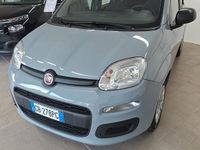 Usata Fiat Panda Easy 69 CV (50 kW) 2020 Grigio Berlina