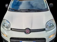 Usata Fiat Panda 95 CV (69 kW) 2017 Utilitaria