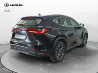 Usata Lexus NX350h Business Edition 243 CV (178 kW) 2023 Nero SUV