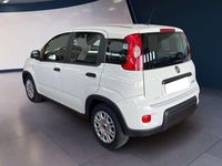 Usata Fiat Panda S 69 CV (50 kW) 2023 Bianco Utilitaria
