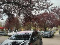 Usata Tesla Model X 100 kW (136 CV) 2019 Nero SUV