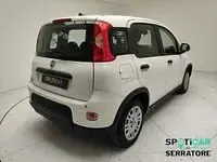 Usata Fiat Panda 70 CV (51 kW) 2024 Nero Utilitaria
