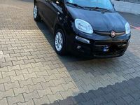 usata Fiat Panda 0.9 t.air t. natural power Easy 80cv