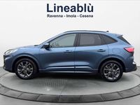 Usata Ford Kuga ST-Line 120 CV (88 kW) 2024 Blu/azzurro SUV