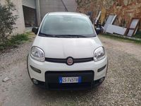 Usata Fiat Panda S 69 CV (50 kW) 2024 Bianco Utilitaria