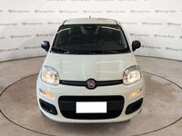 Nuova Fiat Panda S 69 CV (50 kW) 2025 Bianco Berlina