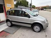 Usata Fiat Panda 4x4 Climbing 60 CV (44 kW) 2006 Grigio Utilitaria
