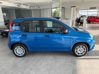 Usata Fiat Panda Icon 69 CV (50 kW) 2025 Azzurro Berlina