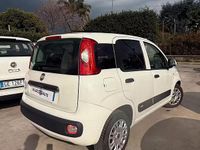 Usata Fiat Panda Easy 69 CV (50 kW) 2018 Bianco Utilitaria