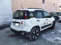 Usata Fiat Panda Cross Cross 69 CV (50 kW) 2020 Bianco Utilitaria