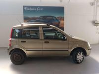 Usata Fiat Panda Dynamic 60 CV (44 kW) 2008 Bronzo Utilitaria