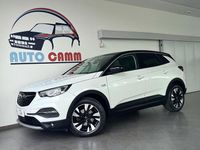 Usata Opel Grandland X Ultimate 131 CV (96 kW) 2020 Viola SUV