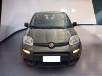 Usata Fiat Panda S 69 CV (50 kW) 2023 Other Utilitaria