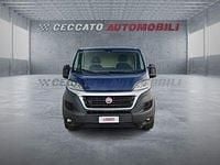 Usata Fiat Ducato 116 CV (85 kW) 2019 Blu Furgone