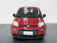 usata Fiat Panda 1.0 FireFly Hybrid