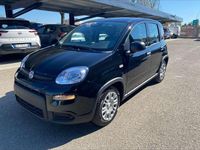 Nuova Fiat Panda Pop 65 CV (47 kW) 2026 Giallo Utilitaria