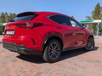 Usata Lexus NX350h Business Edition 190 CV (139 kW) 2024 Rosso SUV