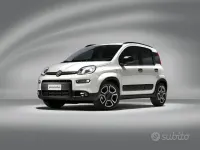 Usata Fiat Panda 4x4 Wild 84 CV (61 kW) 2021 Bianco Utilitaria