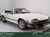 Usata Jaguar XJS 277 CV (203 kW) 1991 Bianco Cabrio