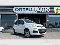 Usata Fiat Panda Easy 69 CV (50 kW) 2019 Bianco Utilitaria