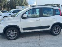 Usata Fiat Panda 4x4 S 95 CV (69 kW) 2016 Grigio Utilitaria