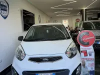 Usata Kia Picanto 67 CV (49 kW) 2015 Bianco Utilitaria