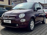Usata Fiat 500 Star 69 CV (50 kW) 2020 Viola metallizzato Utilitaria