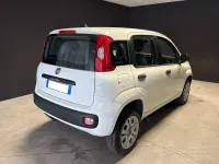 Usata Fiat Panda Easy 84 CV (61 kW) 2018 Bianco pastello Utilitaria