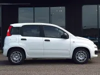 Usata Fiat Panda Icon 65 CV (47 kW) 2026 Bianco Utilitaria