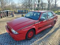 usata Alfa Romeo 75 evoluzione