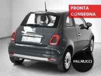 Usata Fiat 500 Lounge 69 CV (50 kW) 2018 Grigio Utilitaria