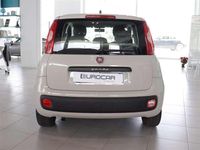 Usata Fiat Panda Easy 86 CV (63 kW) 2015 Beige Utilitaria
