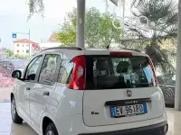 Usata Fiat Panda Easy 75 CV (55 kW) 2014 Bianco Utilitaria