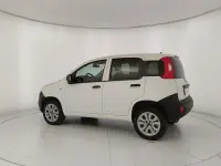 Usata Fiat Panda Pop 84 CV (61 kW) 2019 Bianco Utilitaria