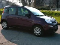 Usata Fiat Panda Classica 69 CV (50 kW) 2012 Viola Utilitaria