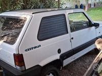Usata Fiat Panda 54 CV (39 kW) 2000 Bianco Utilitaria